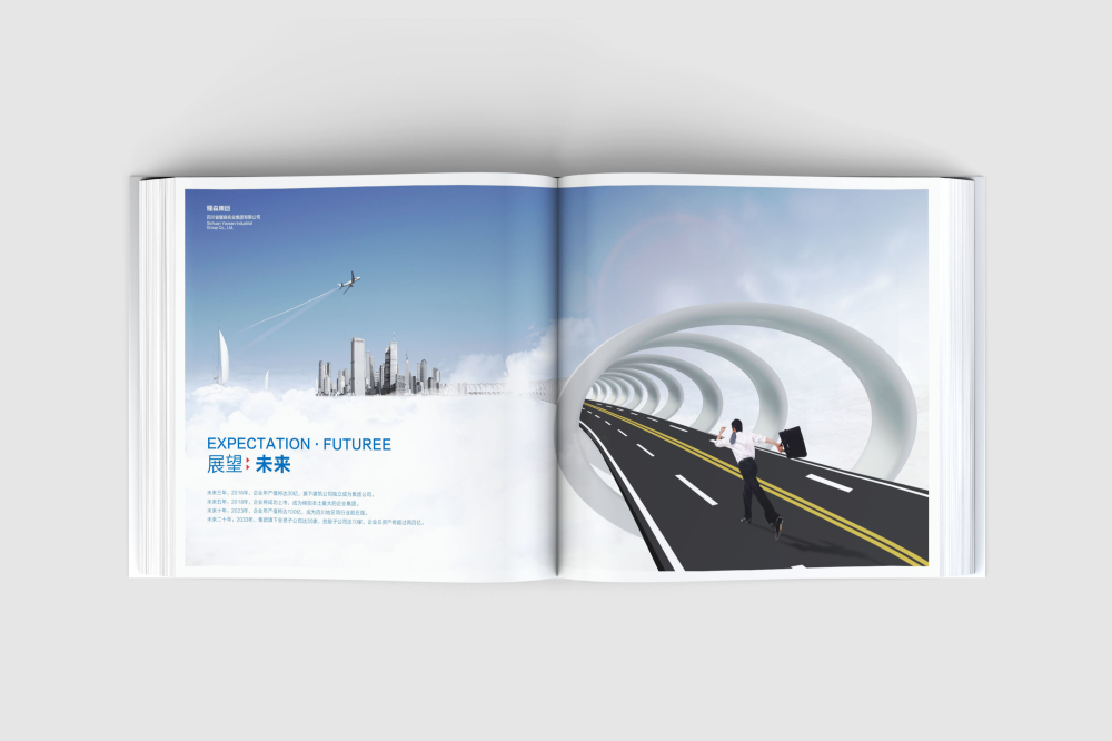 原阳县画册设计